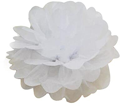 Duories 20 Stück Seidenpapier Pompons 25cm Hochzeitsdeko Basteln Pompoms Dekorpapier Blumenpuscheln Papier Pompons Papierblumen für Geburtstag Hochzeit Party Wohnzimmer Raumdeko,Weiß