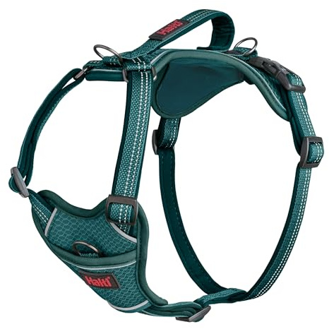 HALTI Anatomy Hundsele med handtag – Ger din hund rörelsefrihet för bekväma promenader. Tre fästpunkter för koppel, vadderad med neopren, justerbar och reflekterande (Storlek L, Kricka)