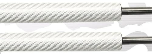 Capós Automóviles para Ford Escape para Kuga para C520 2013 2014 2015 2016 2017 2018 2019 Capó Delantero Amortiguador Resortes De Gas Soporte De Elevación Muelle Neumático Capó Motor(Plata)