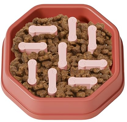 Gamelle pour chien – Mangeoire pour animaux de compagnie à alimentation lente, plat anti-avalement, favorise une digestion saine, base antidérapante, bol d'eau et de nourriture, accessoires pour chien