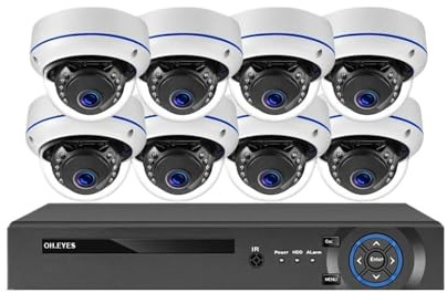 Outdoor Metall Dome 8MP 4K POE CCTV Sicherheit Kamera System H.265 NVR Kit 4CH Home IP Kameras Video Überwachung Bewegungserkennung(3T,10CH NVR 8 Camera)