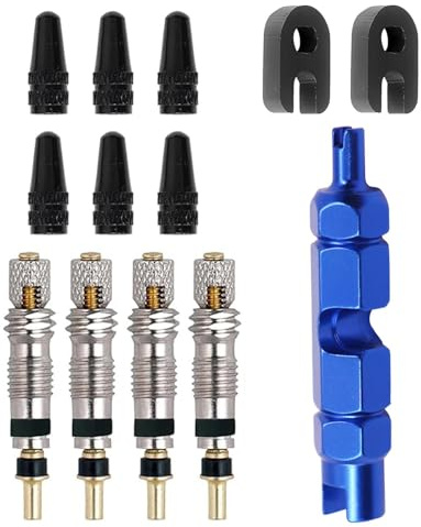 13PCS Fahrradventil Adapter, Ventilkernset mit Ventileinsatzentfernungswerkzeug zur Fahrradreparatur Französisches Ventilkerne Ersatz Fahrradventil Französisch für Fahrräder Mountainbikes