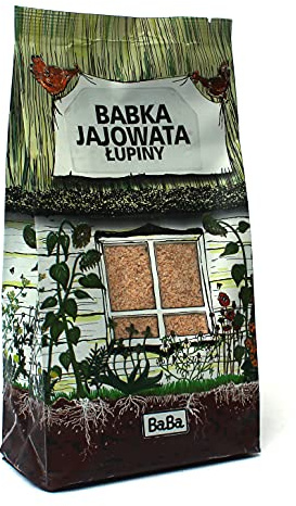 BabaFood Flohsamen, Reines Psyllium, reich an natürlichen Ballaststoffen, idealer Brei für eine bessere Darmfunktion, Premiumqualität, 500g