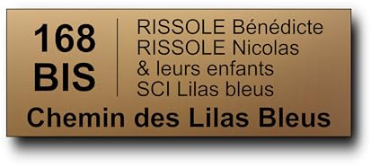 Plaque Boite aux Lettres Personnalisable - 12x5 cm - Adresse et Numéro de Rue - 5 Lignes - Adhésive - Gravée et Personnalisée pour Maison, Famille, Bureau - Étiquette Avec Nom (Or Mat)