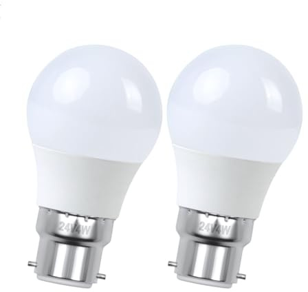 Ruiandsion C45 Globe Bulb B22 Incandescent Bulb 4W, 24V Warm White, Low Voltage Round Light for Ceiling Fan/Pendant Light/Table Lamp/Wall Sconce, 2 Pack