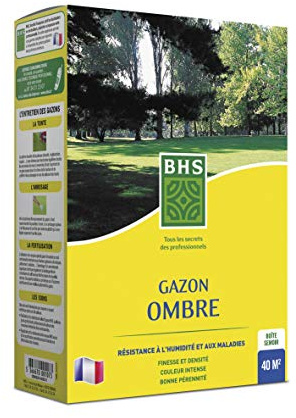 BHS GZO1 | 1 kg | 40 m2 | Ombra | Zone ombreggiate | Si installa Rapidamente e Offre Una buona densità | Mantiene Un Bel Aspetto Tutto L'Anno, Homogeno