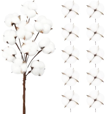 Larber Lot de 20 bouquets de fleurs séchées en coton naturel, 10 tiges longues blanches et 10 têtes de bouquets en coton pour décoration de vases, mariages et fêtes