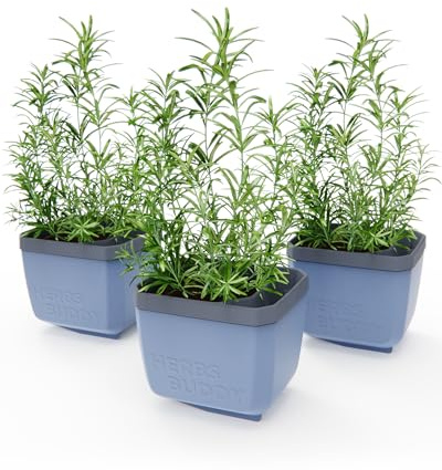 GUSTA GARDEN Herbs Buddy Self-Watering Pot & Herb Pot for Kitchen & Windowsill, Ideal for Basil, Water Tank, Water Level Indicator (3, Blue)