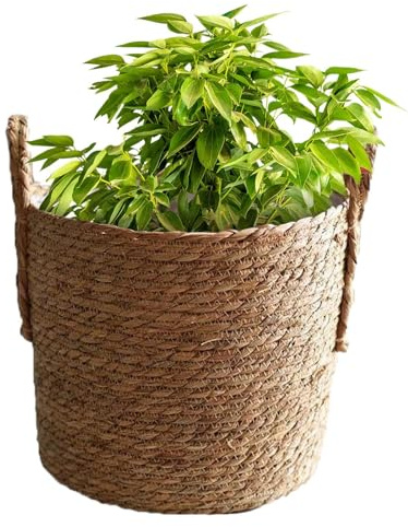 Générique Paniers à d'intérieur | Paniers de jardinière tissés élégants en jonc de mer pour intérieur et extérieur | Pot de Fleurs décoratif étanche pour Feuille de Violon, figuier, Serpent, Fleurs