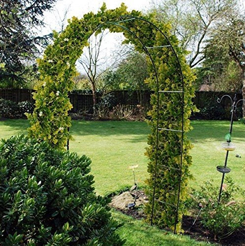 Shamz New Self Assembly Garden Arch For Climbing Plants & Roses