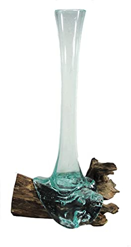 SAWA Glas-Vase Rosenvase XL Höhe ca. 45 cm individuell auf Treib-Holz, Wurzelholz Blumenvase