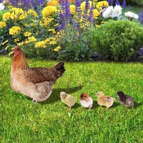 Acryl-Tier-Garten-Holzpfähle, simulierte dekorative Schilder für den Innen- und Außenbereich, Wandkunst, Gartenzaun-Dekorationen (Huhn)