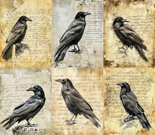 Raven Reispapier, 21 x 26,5 cm (6 Blatt), Decoupage-Papier, 6 Designs für Collagen, gemischte Medien, Kartenherstellung und Basteln, Decoupage von CRAFT KREATIVELY