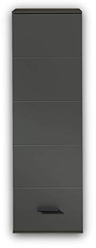 Stella Trading MEDIANA Hängeelement in Graphit matt - Moderner Hängeschrank mit viel Stauraum für Ihr Wohnzimmer - 40 x 125 x 36 cm (B/H/T)