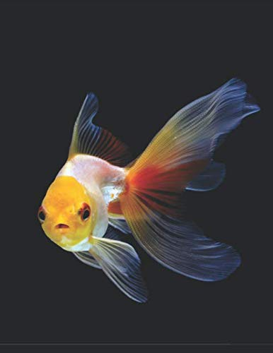 Aquarium Tagebuch: Planer, Notizbuch, Bestandsbuch, Futterplan für alle Auqarianer und Aquaristik Fans ♦ Logbuch für über 100 Einträge ♦ A4+ Format ♦ Motiv: Goldfisch 3
