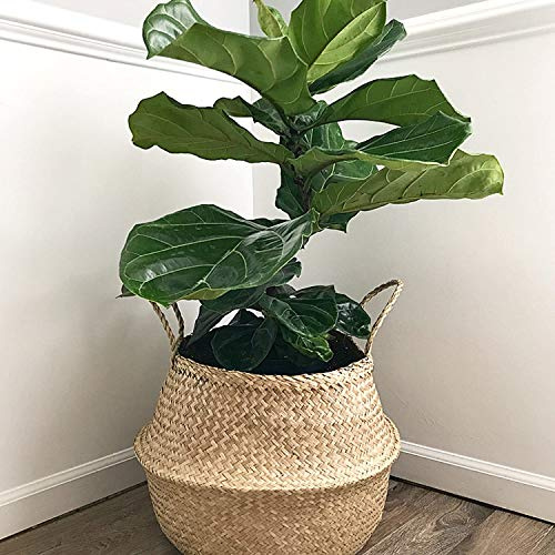7WUNDERBAR Seegras Korb, 38*34cm, Rund, faltbar, Aufbewahrungskorb für Kinderzimmer, Badezimmer, Mehrzweck