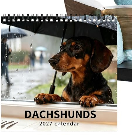 Calendrier Mural Teckel 2027 Planificateur Mensuel Canin 2027