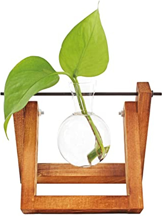 Winkee - Hydrovase Lilly | 1x Blumenvase mit Holz-Ständer | Table Planter | Moderne Deko | Glas Propagation Station | Ableger Pflanzen Glas | Wurzelglasvase | Geschenk zum Muttertag, Geburtstag