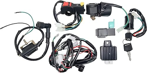 Baceyong Système d’allumage électrique complet avec faisceau de câblage pour motos de 50/70/90/110/125 cc, quads, dirt bikes et buggys