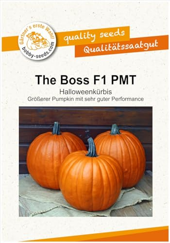 Kürbissamen The Boss F1 Portion