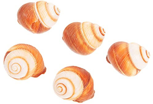 VILLFUL 5stücke Schneckenschalen Natürlich Für Backen Dekorativ Französisch Zum Servieren Für Schnecken Robust Wärmeisolierend Geeignet Für Küche Restaurant