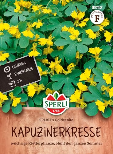 Sperli Kapuzinerkressesamen SPERLI's Goldranke 85740 - Blumensamen für Kletterpflanzen, ideal für Pergolen & Balkone, exotische Blüten, schnell wachsend, Kapuzinerkresse
