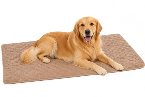 Flamingo hundebett - katzenbett orthopädisch Weimar beige XXL - Komfortables hundekissen Memory Foam - 116x69x2cm