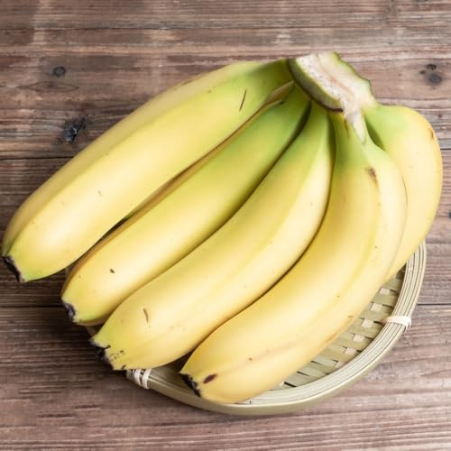 bananenbaum - bananen seltene säulenobstbäume bananensamen winterharte balkon obstsamen geschenke für gartenliebhaber zimmerpflanzen für sonnige plätze obstbaum steingartenpflanzen 25samen