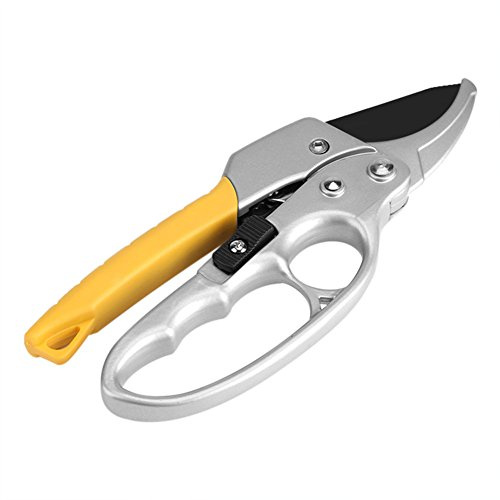 Dioche Sécateur à Cliquet en Acier à Haute Teneur en Carbone – Outil de Jardin Ergonomique pour Couper Facilement les Brindilles et les Branches – Capacité de de 26 Mm