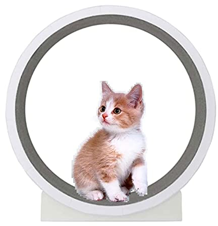 Hundelaufband Laufrad für Katzen, Laufband für Katzen, süßes Katzenmöbel, Haustierspielzeug, Gewichtsverlustgerät für Katzen, Laufrad für den Innenbereich