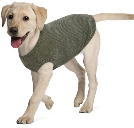 Hundeshirt für Mittelgroße Hunde | Sommer Hund T-Shirt Atmungsaktiv & Leicht | Weich & Bequem, Rundhals Design | Hunde Bekleidung | Schlanke Labrador Retriever, Golden Retriever (Grün XXL)