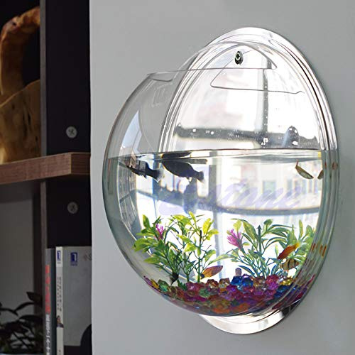 Wandmontiertes Fischglas zum Aufhängen, Betta für Aquarium, Wanddekoration, Pflanze, Fischblasenschalen, transparentes Acryl, 15 cm, 19,6 cm, 25,9 cm, montiertes Aquarium, groß