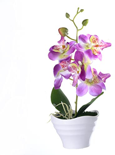 1 Stück Künstliche Rote Mini Orchidee im Topf Grün Schmetterlingsorchidee Kunstpflanze Esstisch Dekoration Blume 27 cm (Lila)
