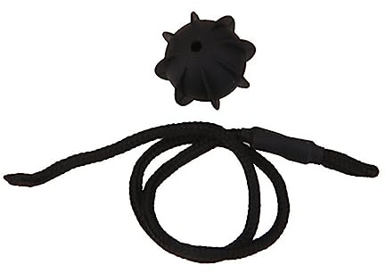 GALPADA Car Vehicle Parcel Shelf String Strap Cord for Aftermarket Replacement for Luggage Rack Use Black Color Heavy-Duty Design