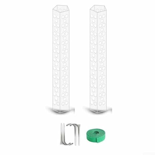 Yuanpgky Palo di muschio trasparente per piante rampicanti, palo di supporto per piante da 39,9 cm, con design pentagonale chiuso, migliora l'assorbimento dell'umidità, impilabile per Pothos (2 pezzi)
