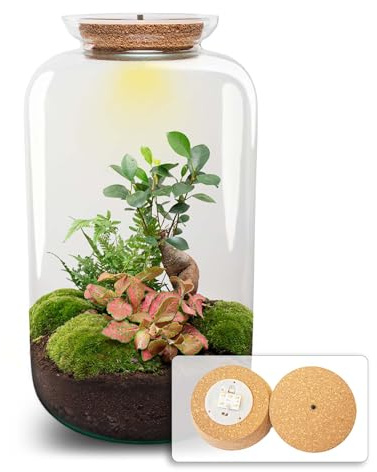 urbanjngl - Sven XL Bonsai Terrarium mit Licht - DIY Kit für Pflanzen - Ø 23 cm, Höhe 43 cm - Selbstregulierendes Ökosystem für Ihre Pflanzenpflege