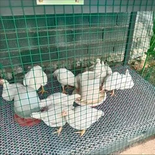 Rollo de malla de jardín recubierto de PVC para aves de corral, verduras y frutas, borde de jardín duradero, 1,2 x 18 m, solución de valla de arbustos