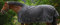 PFIFF 102836 Outdoordecke Highneck, Redendecke, leicht gefütterte Winterdecke, wasserdichte Weidedecke, Decke ohne Rückennaht, Polyester Futter, 150g/qm, Schwarz-Blau, 95