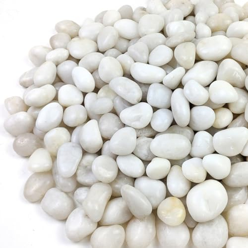 YISZM Rocce di fiume per paesaggistica, ciottoli lucidati naturali per piante da interno, piccole pietre bianche decorative per vaso, acquari, giardini paesaggistici, 9 kg