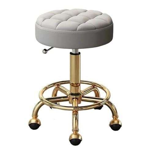 DJWSHENRUI Hocker Master Chair Schönheitssalonhocker Friseurstühle mit Rädern und Rückenlehne Drehhocker mit Rädern Gewerbemöbel Rollhocker(Golden Grey 1)