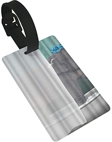 Digital Stripes Lines Print 2 Stück Gepäckanhänger, Sichtschutzabdeckung ID Label Loop und Adresskarte für Reisetasche Koffer