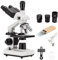 WQV 40X-5000X Verbundmikroskop, Professionelles Trinokular-Mikroskop für Erwachsene, Labor, mit Mikroskop-Objektträgern, WF10X & WF25X Okularen, Abbe-Kondensator, unterstützt Bildschirm PC Phone