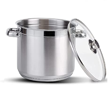 Stainless Steel Stock Pot with Vented Glass Lids- Deep Two Tone Silver Pot, Induction Base (26 cm Diameter - 12 Litre)