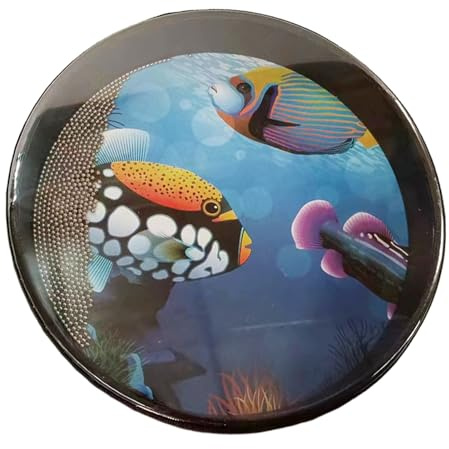 Percussion du son de la mer - Tambour musical réutilisable à ondes océaniques, perles en métal pour acoustique douce | Instrument éducatif inspirant les compétences musicales pendant l'activité d'Oci