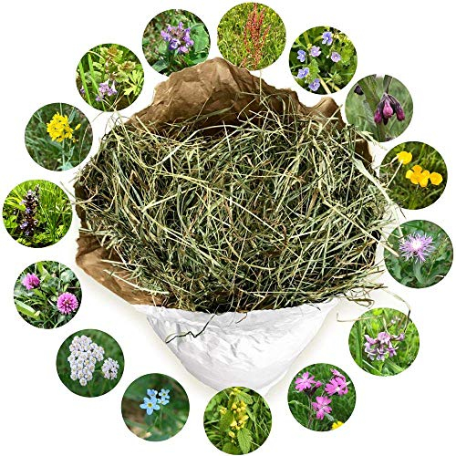 Heu 2. Schnitt - Qualitäts-Kleintier-Futter für Kaninchen Hasen Hamster Nager & Kleintiere - lose im Öko Papiersack aus der größten Heumilch-Region Europas in Österreich (6 kg)