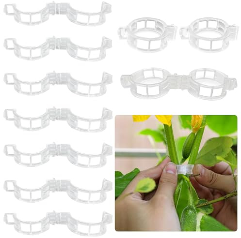 LuckyOpt 100 Stück Pflanzenklammern, Kunststoff Pflanzenclips für Kletterpflanzen, Wiederverwendbar Pflanzenclips für Pflanzen Sicherung (100, transparent)