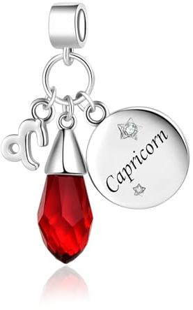LSxAB Teardrop Birthstone 12 Constellation Charm for Women Horoscope Zodiac Sign Birthday Charms Compatible with Pandora Bracelets