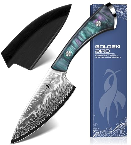 Golden Bird Messer Outdoor mit 67-lagigem japanischem Damaststah VG10-Kern | Damast Jagdmesser Survival Outdoor mit Kunststoffgriff mit Aurora Design und Holzscheide - Geschenke für Männer