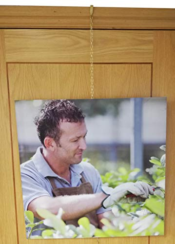 Brass Gold Picture Hanging Chain Suspended Display Traditional (Brass Gold Chain 1 Meter)