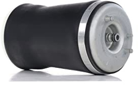 RIDEX 4119A0019 Luftfeder Fahrwerk Hinten Links für BMW X5 (E53)